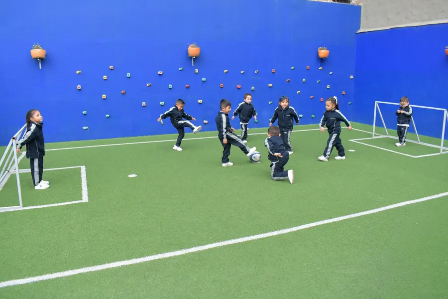 Actividades de los niños de primaria del Colegio Psicopedagógico La Acacia