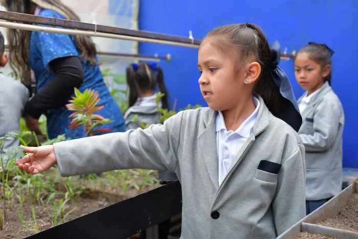 Actividades y experiencias de los estudiantes de secundaria