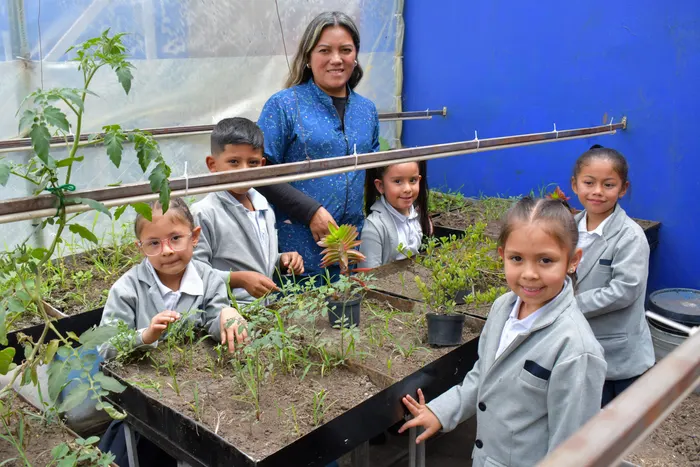 Actividades y experiencias de los estudiantes de secundaria